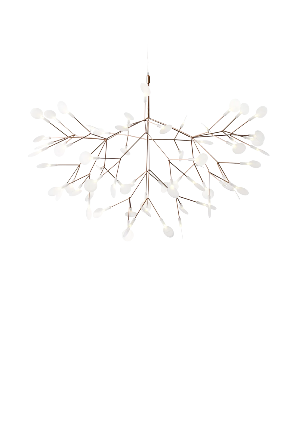 Front view Heracleum Suspended Copper